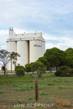 VITERRA / COWELL_0011_(160420)