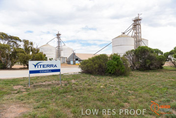 VITERRA / COWELL_0014_(160420)