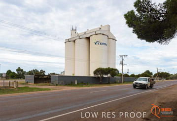 VITERRA / COWELL_0025_(160420)