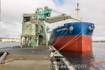 VITERRA / PT_LINCOLN_TERMINAL_STORAGE_602_160421
