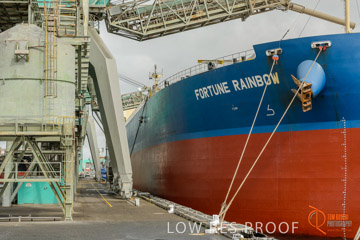 VITERRA / PT_LINCOLN_TERMINAL_STORAGE_603_160421