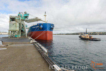 VITERRA / PT_LINCOLN_TERMINAL_STORAGE_617_160421