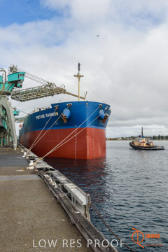 VITERRA / PT_LINCOLN_TERMINAL_STORAGE_620_160421