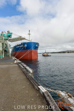 VITERRA / PT_LINCOLN_TERMINAL_STORAGE_623_160421