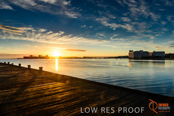 VITERRA / PT_LINCOLN__028_160421