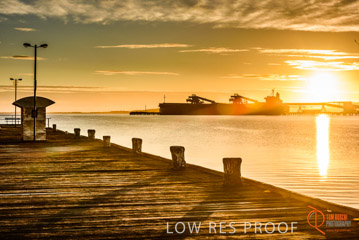 VITERRA / PT_LINCOLN__039_160421