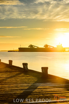 VITERRA / PT_LINCOLN__046_160421