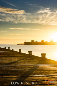 VITERRA / PT_LINCOLN__049_160421