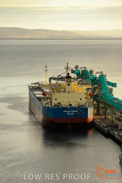 VITERRA / PT_LINCOLN_TERMINAL_STORAGE_022_160421