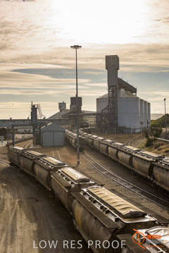 VITERRA / PT_LINCOLN_TERMINAL_STORAGE_TRAIN_012_160421