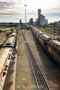 VITERRA / PT_LINCOLN_TERMINAL_STORAGE_TRAIN_025_160421
