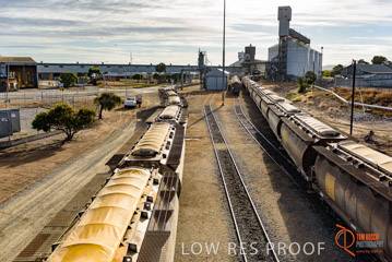 VITERRA / PT_LINCOLN_TERMINAL_STORAGE_TRAIN_026_160421