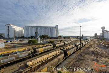 VITERRA / PT_LINCOLN_TERMINAL_STORAGE_TRAIN_031_160421
