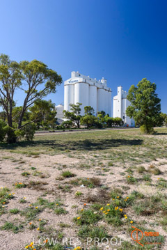 VITERRA / STREAKY_BAY_004_160423