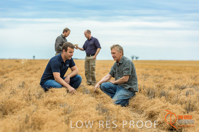 December 2016 / GLENCORE_GRAIN_DOOEN_001_161213_DSC9345