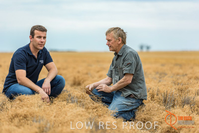 December 2016 / GLENCORE_GRAIN_DOOEN_025_161213_DSC9412