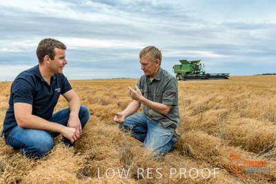 December 2016 / GLENCORE_GRAIN_DOOEN_027_161213_DSC9414