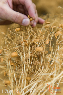 December 2016 / GLENCORE_GRAIN_DOOEN_097_161213_DSC9667