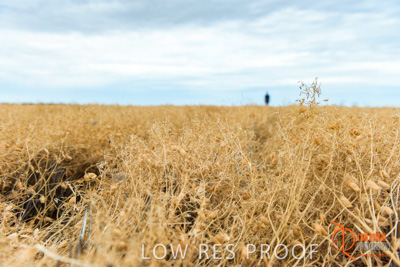 December 2016 / GLENCORE_GRAIN_DOOEN_109_161213_DSC9693