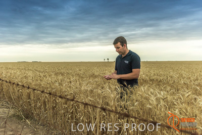 December 2016 / GLENCORE_GRAIN_DOOEN_178_161213_DSC9755