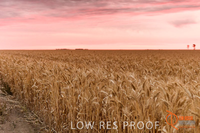 December 2016 / GLENCORE_GRAIN_DOOEN_206_161213_DSC6532