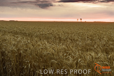 December 2016 / _DSC6560-HDR