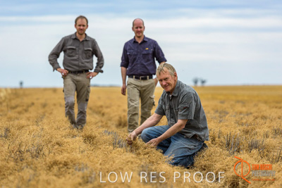 December 2016 / GB_RUTHES_FARM_097_161213_DSC9338