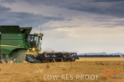 December 2016 / GB_RUTHES_FARM_114_161213_DSC9595