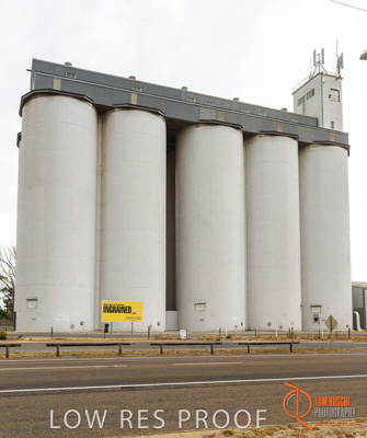 December 2016 / COONALPIN_007_161214_DSC1205