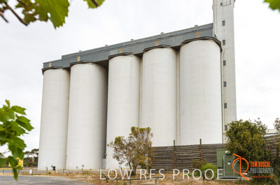 December 2016 / COONALPIN_012_161214_DSC1216