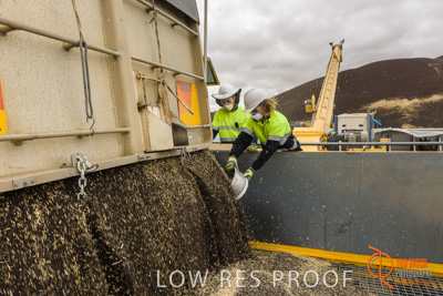 December 2016 / DOOEN_004_161214_DSC9873