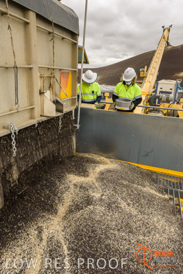 December 2016 / DOOEN_005_161214_DSC9878