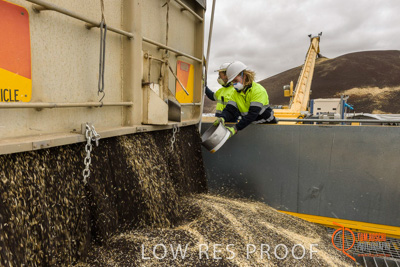 December 2016 / DOOEN_009_161214_DSC9890