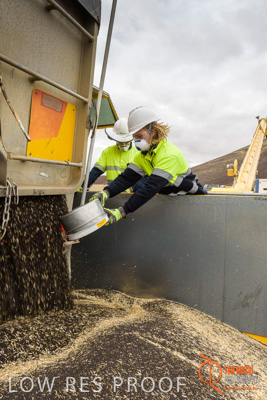 December 2016 / DOOEN_011_161214_DSC9896