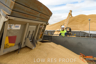 December 2016 / DOOEN_118_161214_DSC0110