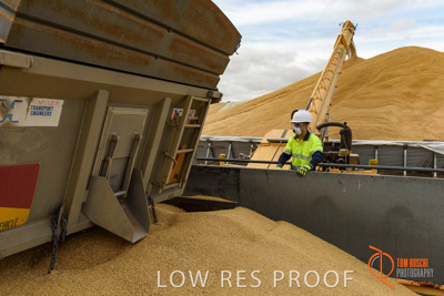 December 2016 / DOOEN_119_161214_DSC0111