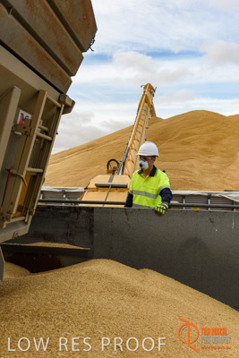 December 2016 / DOOEN_121_161214_DSC0114