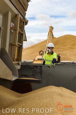 December 2016 / DOOEN_124_161214_DSC0119