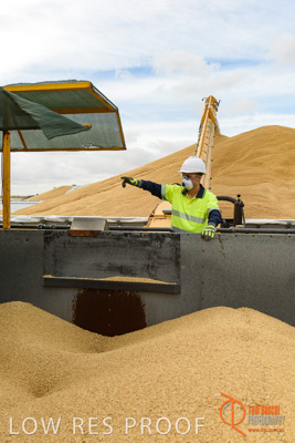 December 2016 / DOOEN_126_161214_DSC0123