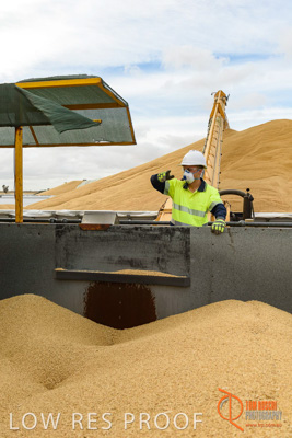 December 2016 / DOOEN_127_161214_DSC0125