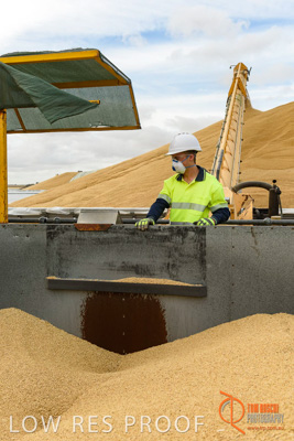 December 2016 / DOOEN_132_161214_DSC0133