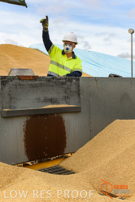 December 2016 / DOOEN_137_161214_DSC0145