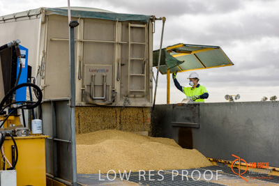 December 2016 / DOOEN_208_161214_DSC0251