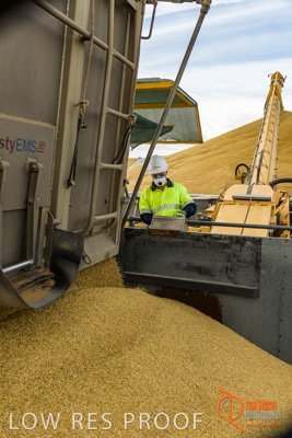 December 2016 / DOOEN_216_161214_DSC0261