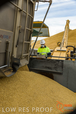 December 2016 / DOOEN_217_161214_DSC0262