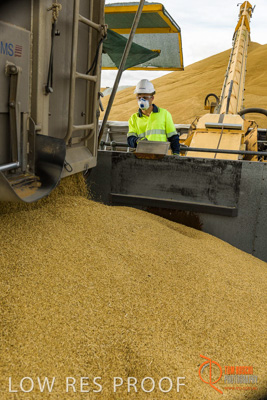 December 2016 / DOOEN_221_161214_DSC0268