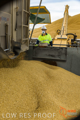 December 2016 / DOOEN_222_161214_DSC0271