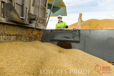 December 2016 / DOOEN_223_161214_DSC0274