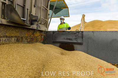 December 2016 / DOOEN_224_161214_DSC0275