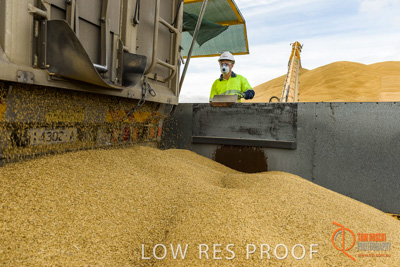 December 2016 / DOOEN_225_161214_DSC0276